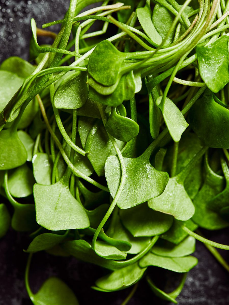 Foodfotografie Editorial Karlsruhe Offenburg